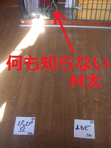 DSCN8249a.jpg