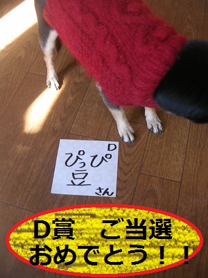 DSCN8252a.jpg