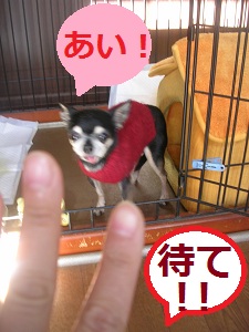 DSCN8253a.jpg