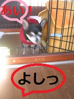 DSCN8256a.jpg