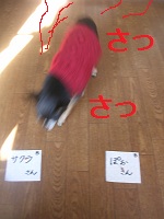DSCN8257a.jpg