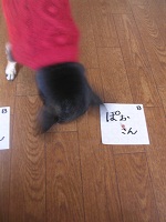 DSCN8258a.jpg
