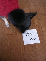 DSCN8259a.jpg