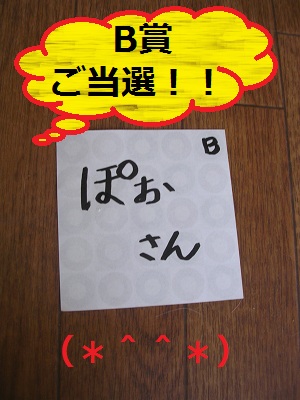DSCN8260a.jpg