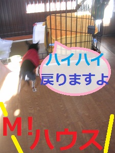DSCN8262a.jpg
