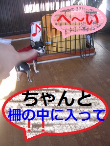 DSCN8263a.jpg
