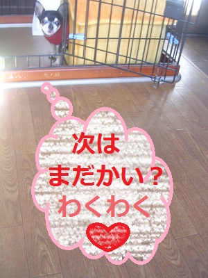 DSCN8264a.jpg