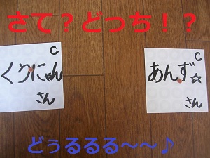 DSCN8265a.jpg