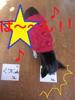 DSCN8266a.jpg