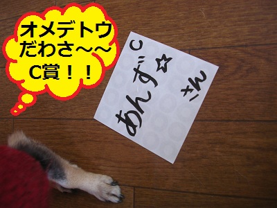 DSCN8267a.jpg