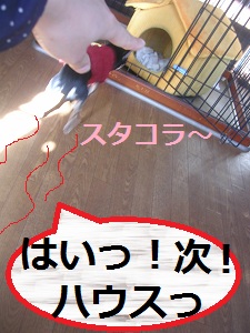 DSCN8268a.jpg