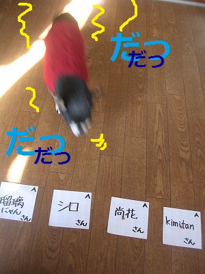 DSCN8270a.jpg