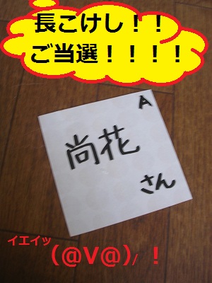 DSCN8271a.jpg