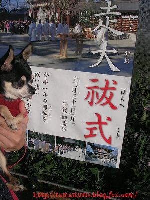 DSCN8283a.jpg