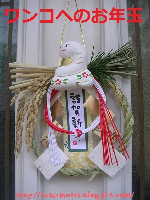 DSCN8353a.jpg