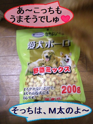 DSCN8360a.jpg