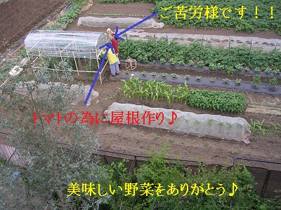20120602b