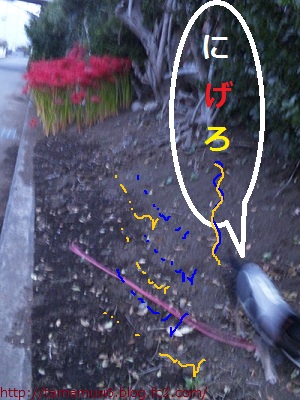 DSC_0083a.jpg