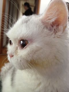 IMG_2884.jpg