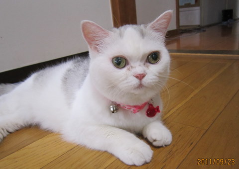 blog_import_50800aa9b946d.jpeg