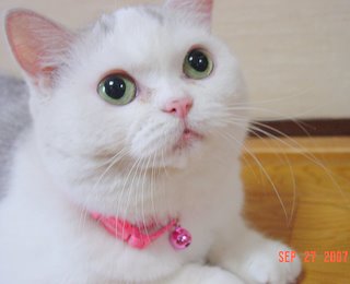 blog_import_508082aba52d9.jpg