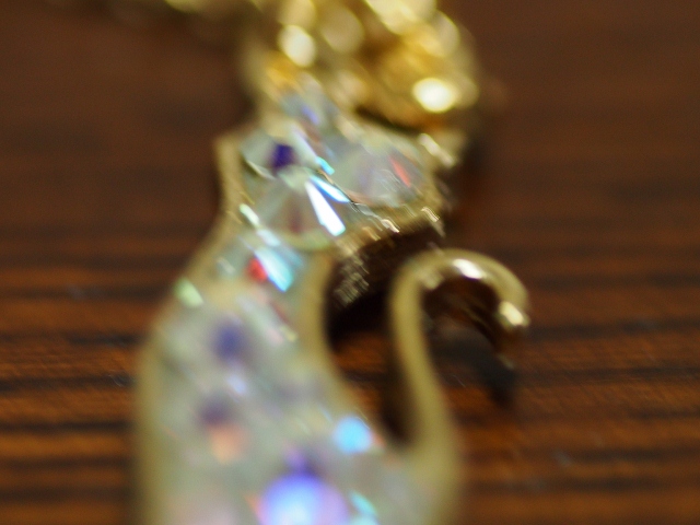 P5210031 (640x480)