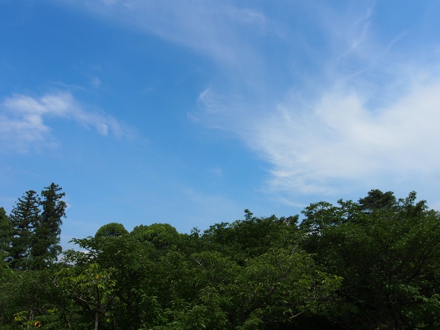 P6300192 (640x480)