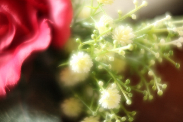 IMG_0580 (640x427)