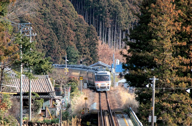 IMG_9760大内山南紀1号