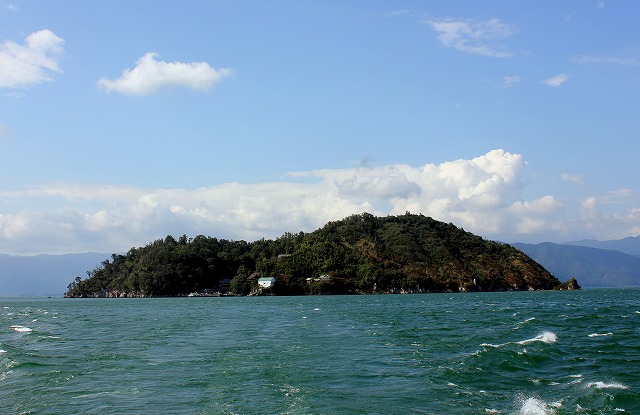 IMG_8637.jpg