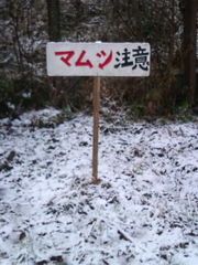 フォト