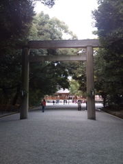 フォト