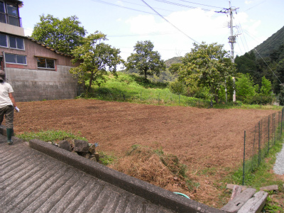 RIMG0409.jpg