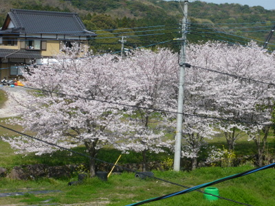 P1020863.jpg