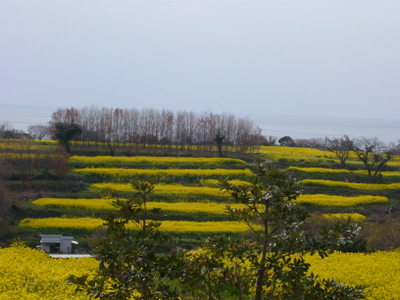 P1020872.jpg