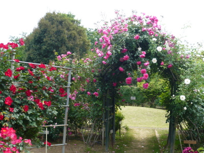 P1030035.jpg