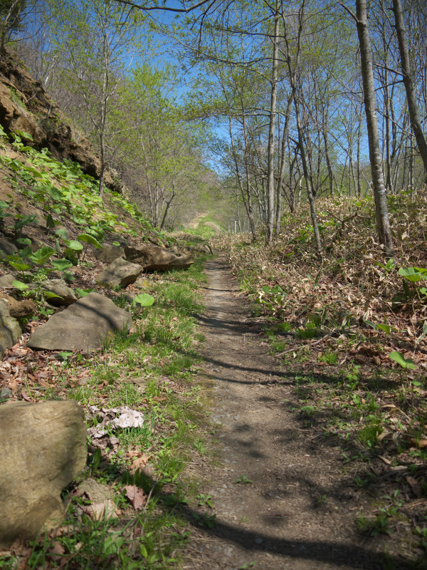 P1050117.jpg