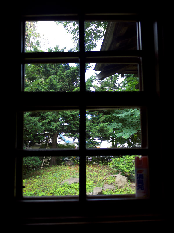 P1050979.jpg