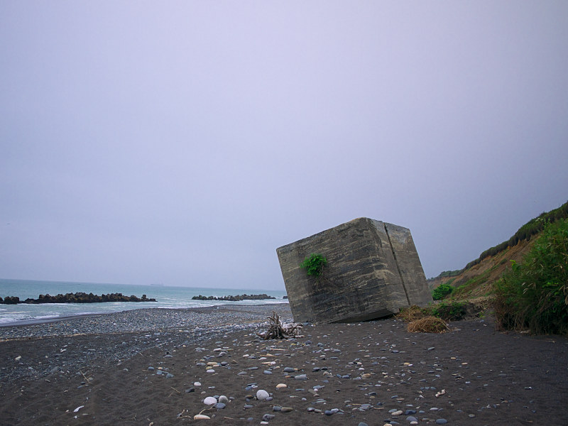 P1060274.jpg