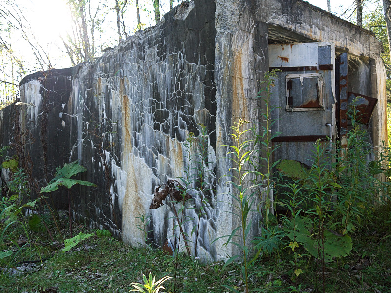 P1080327.jpg