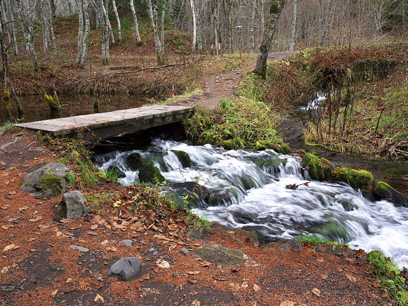 P1090858.jpg