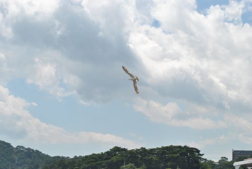 DSC_0348.jpg