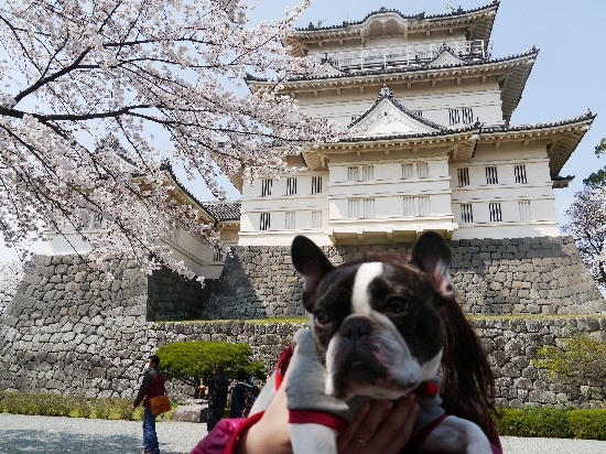 P1120414.jpg