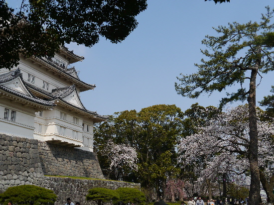 P1120416.jpg