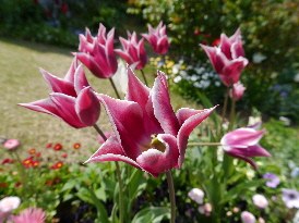 P1120868.jpg