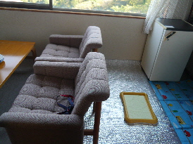 P1120913.jpg