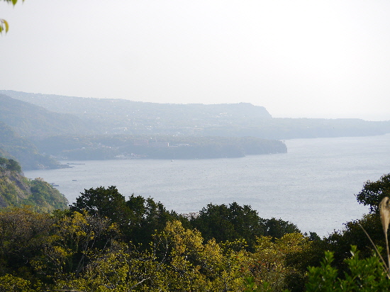 P1120985.jpg