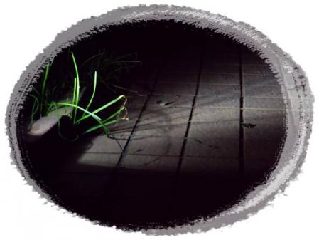 008_20121124174710.jpg