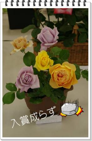 spring 062