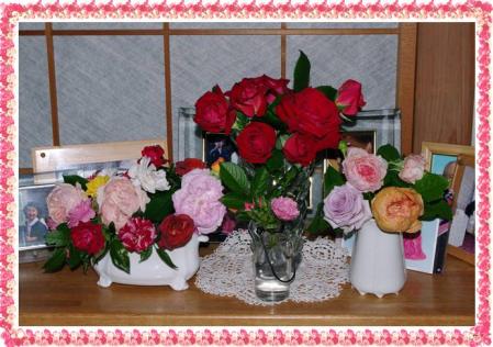 spring 079